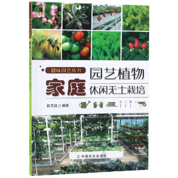 家庭園藝植物休閑無土栽培 家庭園藝植物休閑無土栽培