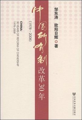 中國所有制改革30年