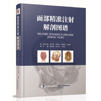 面部精準注射解剖圖譜 面部精準注射解剖圖譜
