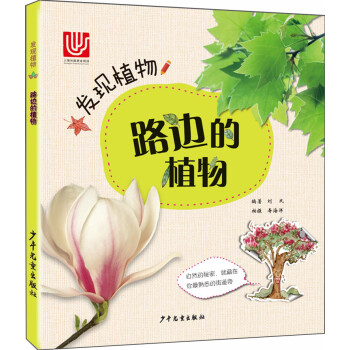 發(fā)現(xiàn)植物路邊的植物 發(fā)現(xiàn)植物路邊的植物