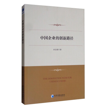 中國(guó)企業(yè)的創(chuàng)新路徑 中國(guó)企業(yè)的創(chuàng)新路徑