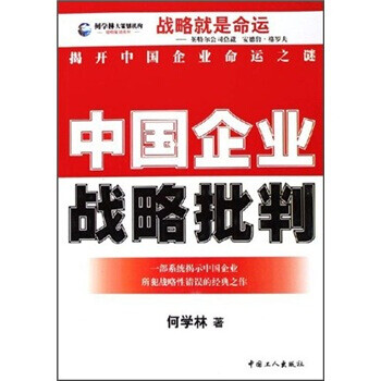 中國(guó)企業(yè)戰(zhàn)略批判 中國(guó)企業(yè)戰(zhàn)略批判