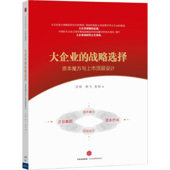 大企業(yè)的戰(zhàn)略選擇 大企業(yè)的戰(zhàn)略選擇