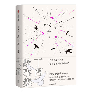 丁酉故事集弋舟著 丁酉故事集弋舟著