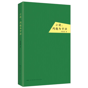 小說:?jiǎn)栴}與方法 小說:?jiǎn)栴}與方法