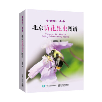 北京訪花昆蟲(chóng)圖譜 北京訪花昆蟲(chóng)圖譜