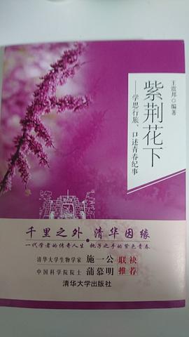 紫荊花下 紫荊花下