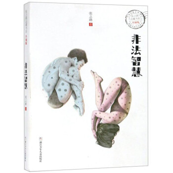 非法智慧 非法智慧