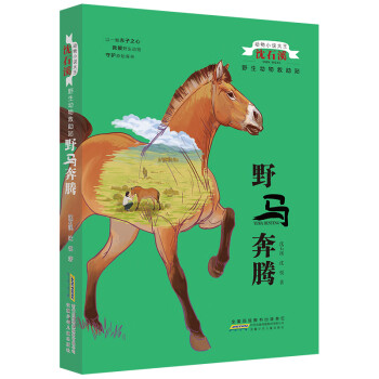 野馬奔騰 野馬奔騰