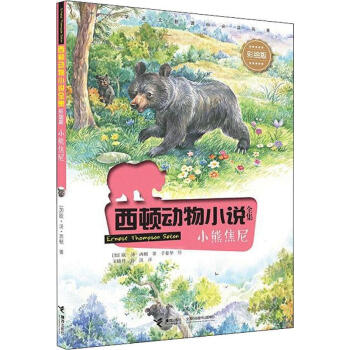小熊焦尼