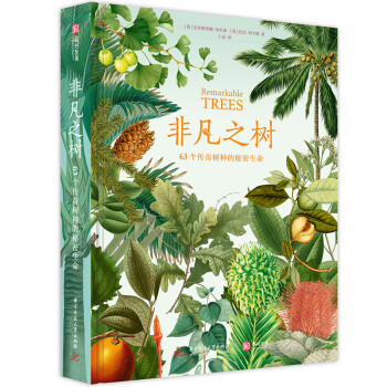 非凡之樹 非凡之樹