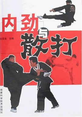 內勁與散打 內勁與散打