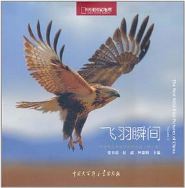 飛羽瞬間2 飛羽瞬間2