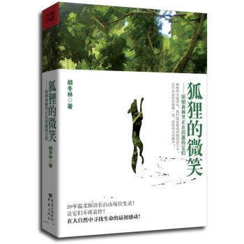 狐貍的微笑