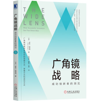 廣角鏡戰略 廣角鏡戰略