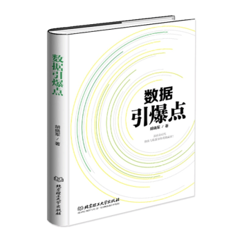 數(shù)據(jù)引爆點(diǎn) 數(shù)據(jù)引爆點(diǎn)