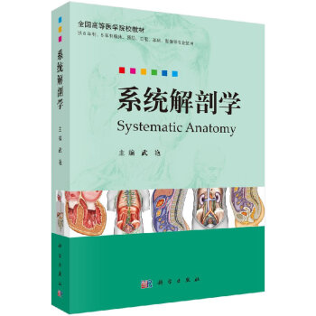 系統(tǒng)解剖學(xué) 系統(tǒng)解剖學(xué)