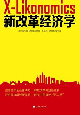 新改革經(jīng)濟學(xué) 新改革經(jīng)濟學(xué)