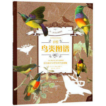 手繪鳥類圖譜 手繪鳥類圖譜