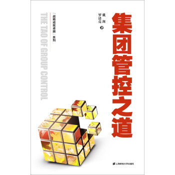 集團管控之道 集團管控之道