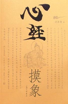 心經(jīng)摸象沈善增 心經(jīng)摸象沈善增