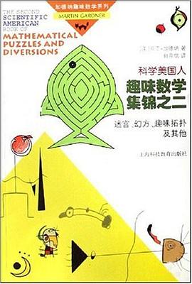 趣味拓撲及其他 趣味拓撲及其他