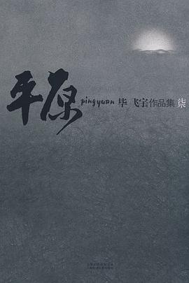 畢飛:宇作品集