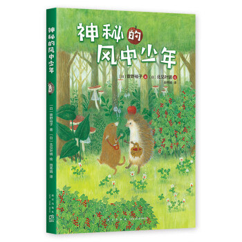 神秘的風(fēng)中少年 神秘的風(fēng)中少年