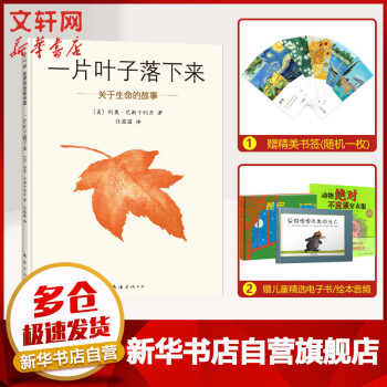 一片葉子落下來 一片葉子落下來