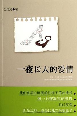 清末四大譴責(zé)小說(shuō) 清末四大譴責(zé)小說(shuō)