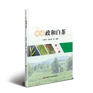 解惑政和白茶 解惑政和白茶