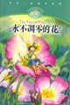 永不調零的花 永不調零的花
