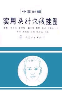 實用頭針穴位掛圖 實用頭針穴位掛圖