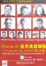 Oracle8i應(yīng)用高級編程―Java,PL/SQL和XML深入開發(fā) Oracle8i應(yīng)用高級編程―Java,PL/SQL和XML深入開發(fā)