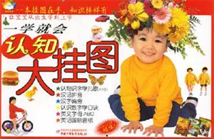 一學(xué)就會認(rèn)知大掛圖 一學(xué)就會認(rèn)知大掛圖