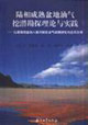 陸相成熟盆地油氣挖潛勘探理論與實踐：以渤海灣盆地八面河探區油氣成藏研究與應用為例