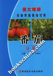 番茄分冊圖文精解設(shè)施果蔬栽培經(jīng)驗 番茄分冊圖文精解設(shè)施果蔬栽培經(jīng)驗