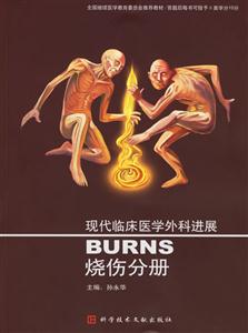 現(xiàn)代臨床醫(yī)學(xué)外科進(jìn)展:燒傷分冊 現(xiàn)代臨床醫(yī)學(xué)外科進(jìn)展:燒傷分冊