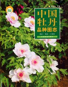 中國(guó)牡丹品種圖志西北、西南、江南卷 中國(guó)牡丹品種圖志西北、西南、江南卷