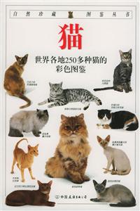 貓 貓