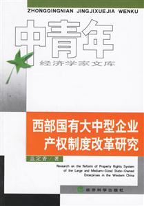 西部國(guó)有大中型企業(yè)產(chǎn)權(quán)制度改革研究 西部國(guó)有大中型企業(yè)產(chǎn)權(quán)制度改革研究