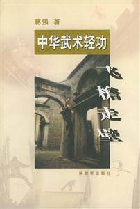 中華武術輕功飛檐走壁 中華武術輕功飛檐走壁