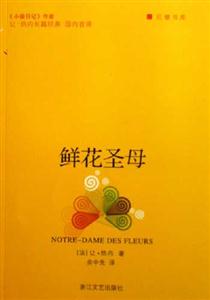 鮮花圣母巨擘書庫(kù) 鮮花圣母巨擘書庫(kù)