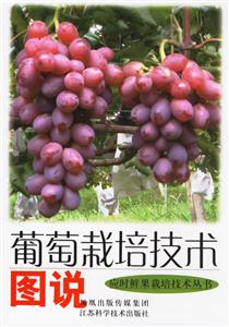 應(yīng)時(shí)鮮果栽培技術(shù)叢書葡萄栽培技術(shù)圖說(shuō) 應(yīng)時(shí)鮮果栽培技術(shù)叢書葡萄栽培技術(shù)圖說(shuō)
