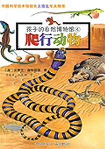 爬行動物