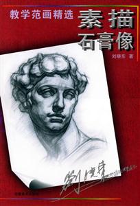 素描石膏像教學(xué)范畫精選 素描石膏像教學(xué)范畫精選