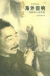《海外回響》讀后感400字：海外的回響，人物的跨越與情感的碰撞，一場關于追尋與挑戰的深度揭秘！