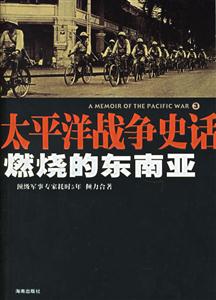 《燃燒的東南亞》讀后感400字：戰(zhàn)火中的情感糾葛，人物命運(yùn)的沉浮，一場(chǎng)關(guān)于熱情與沖突的深度探索！