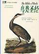 世界偉大的鳥類圖譜珍藏thebibleofbirds鳥類圣經(jīng) 世界偉大的鳥類圖譜珍藏thebibleofbirds鳥類圣經(jīng)
