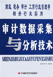 審計(jì)數(shù)據(jù)與分析技術(shù) 審計(jì)數(shù)據(jù)與分析技術(shù)